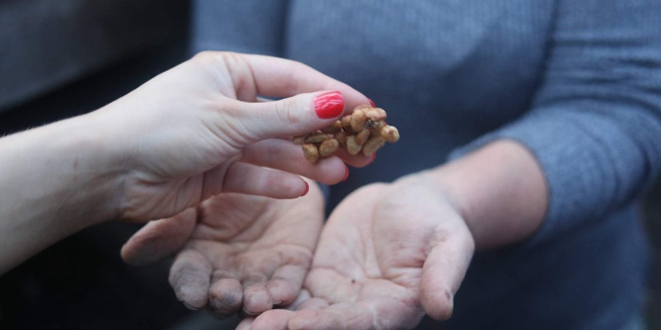 Costa Rica coffee farm tour