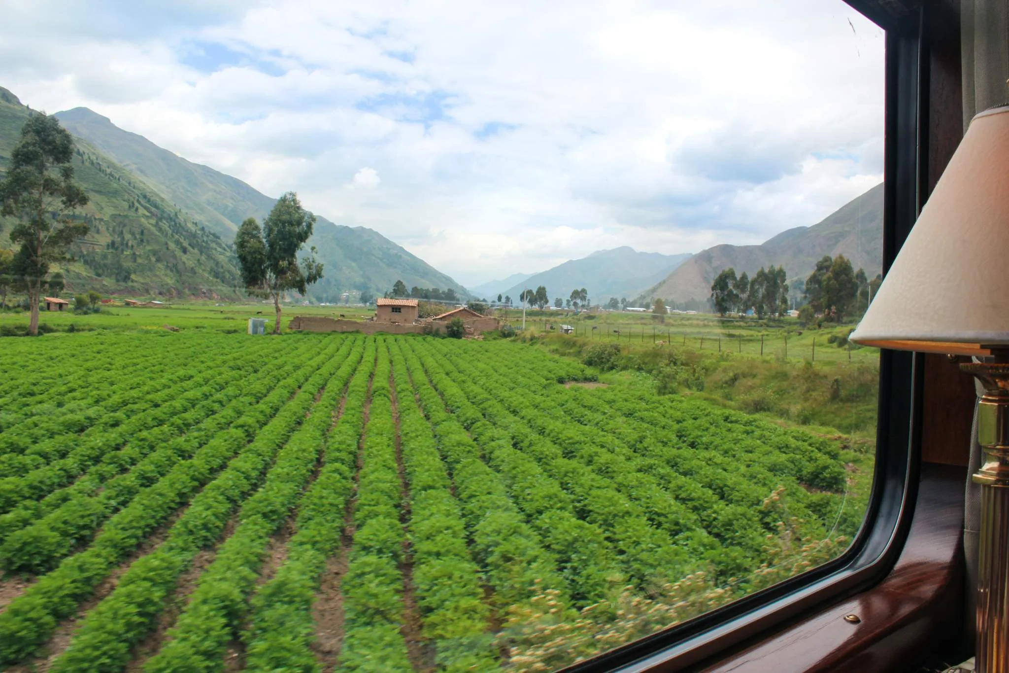 Andean Explorer Puno Cusco