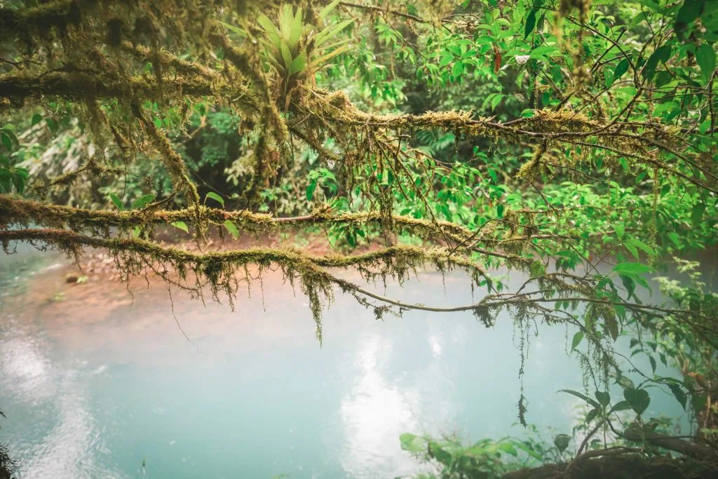 Costa Rica Rio Celeste hike