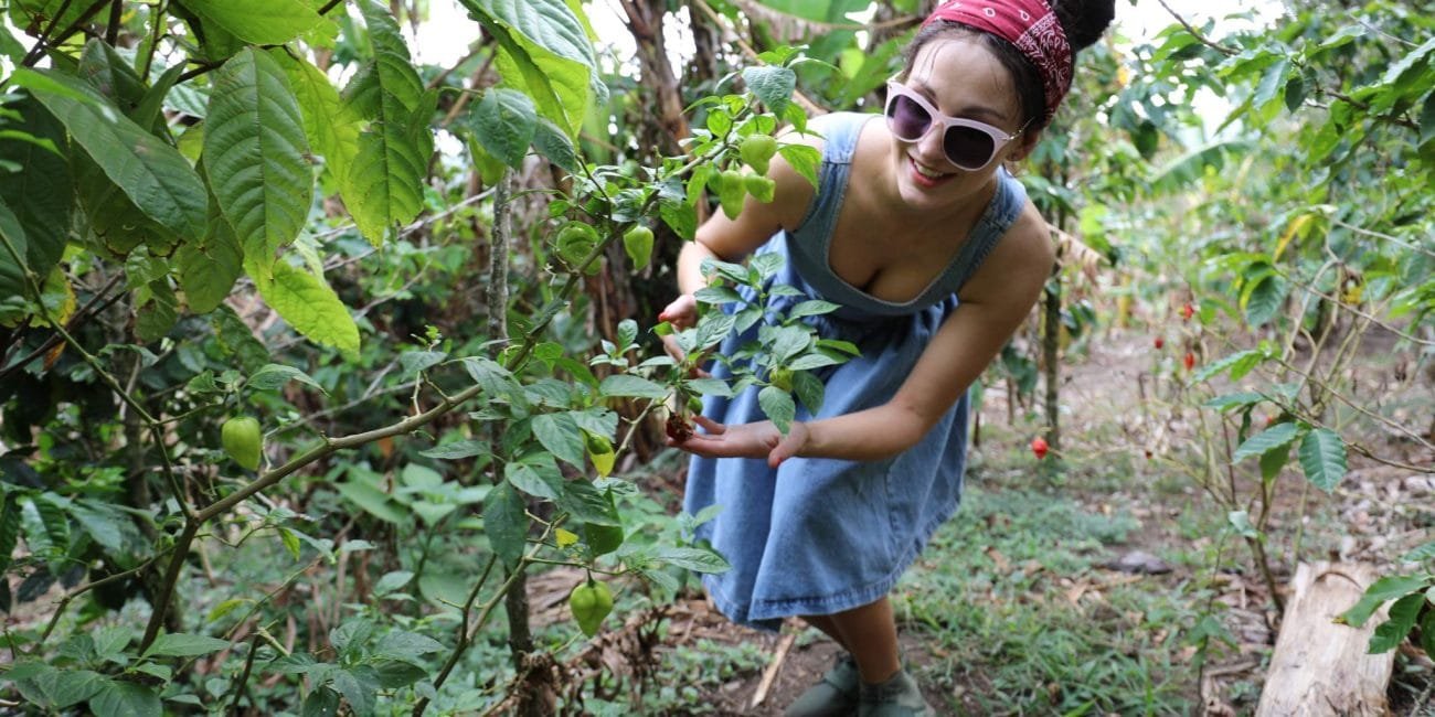 Costa Rica sustainable travel