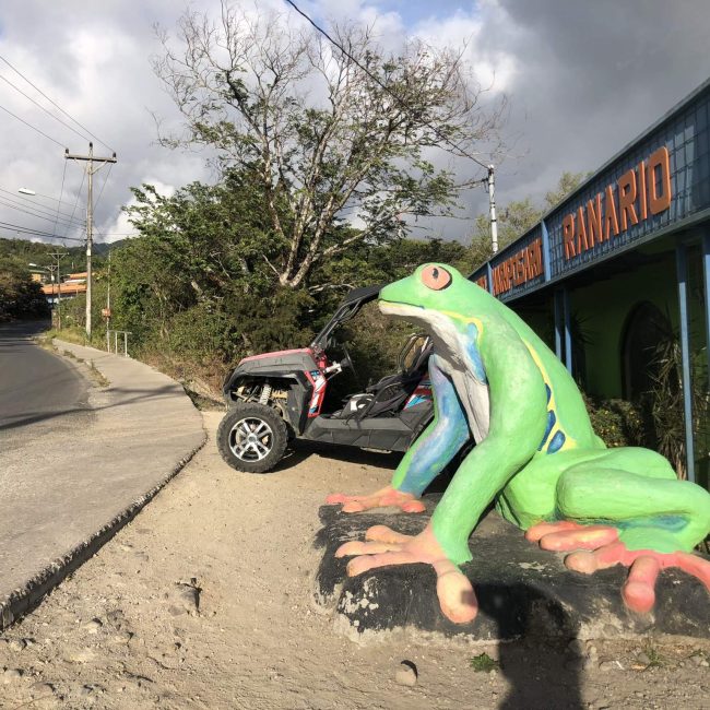 Monteverde frog museum