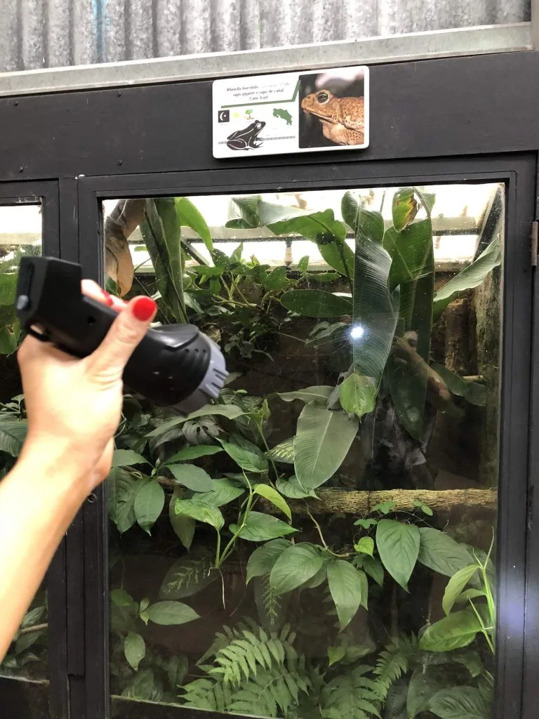 Monteverde frog museum tour