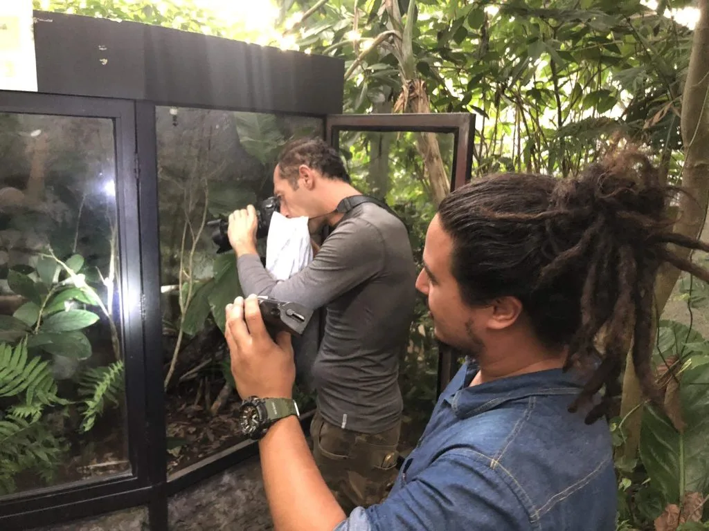 Monteverde frog museum