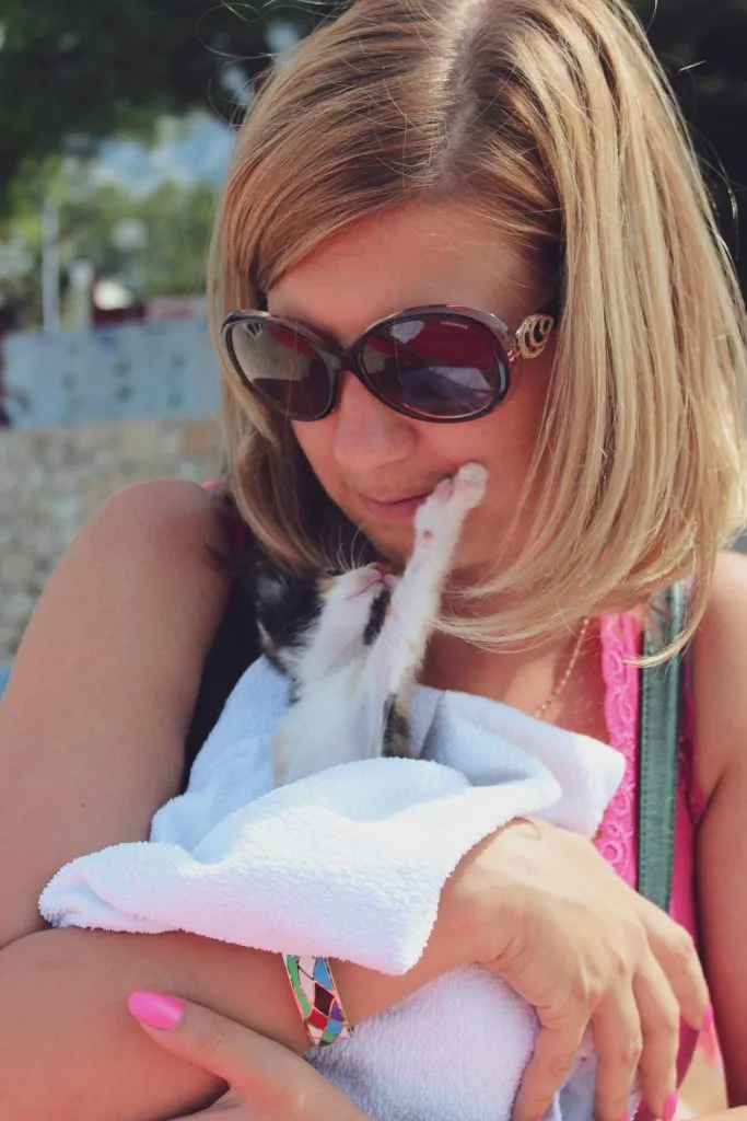 croatia cat