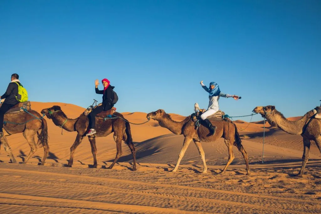 Morocco Erg Chebby Travel