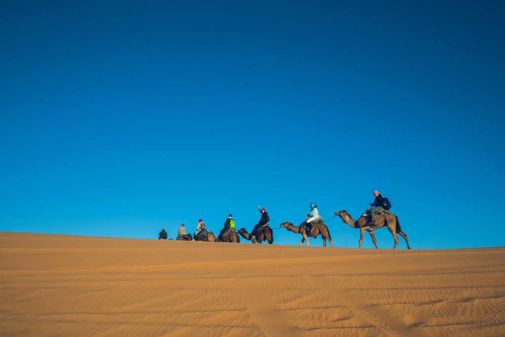 Morocco Erg Chebby tour camels