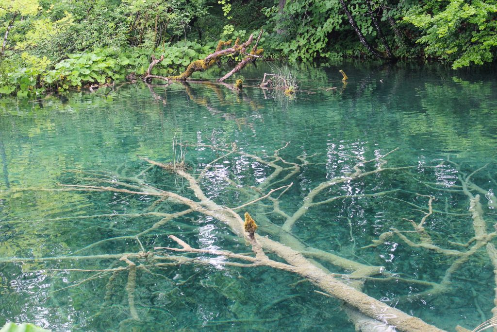 guide to Plitvice Lakes National Park 