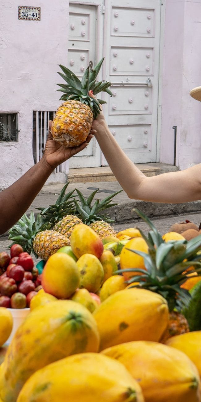 Things to do in Cartagena