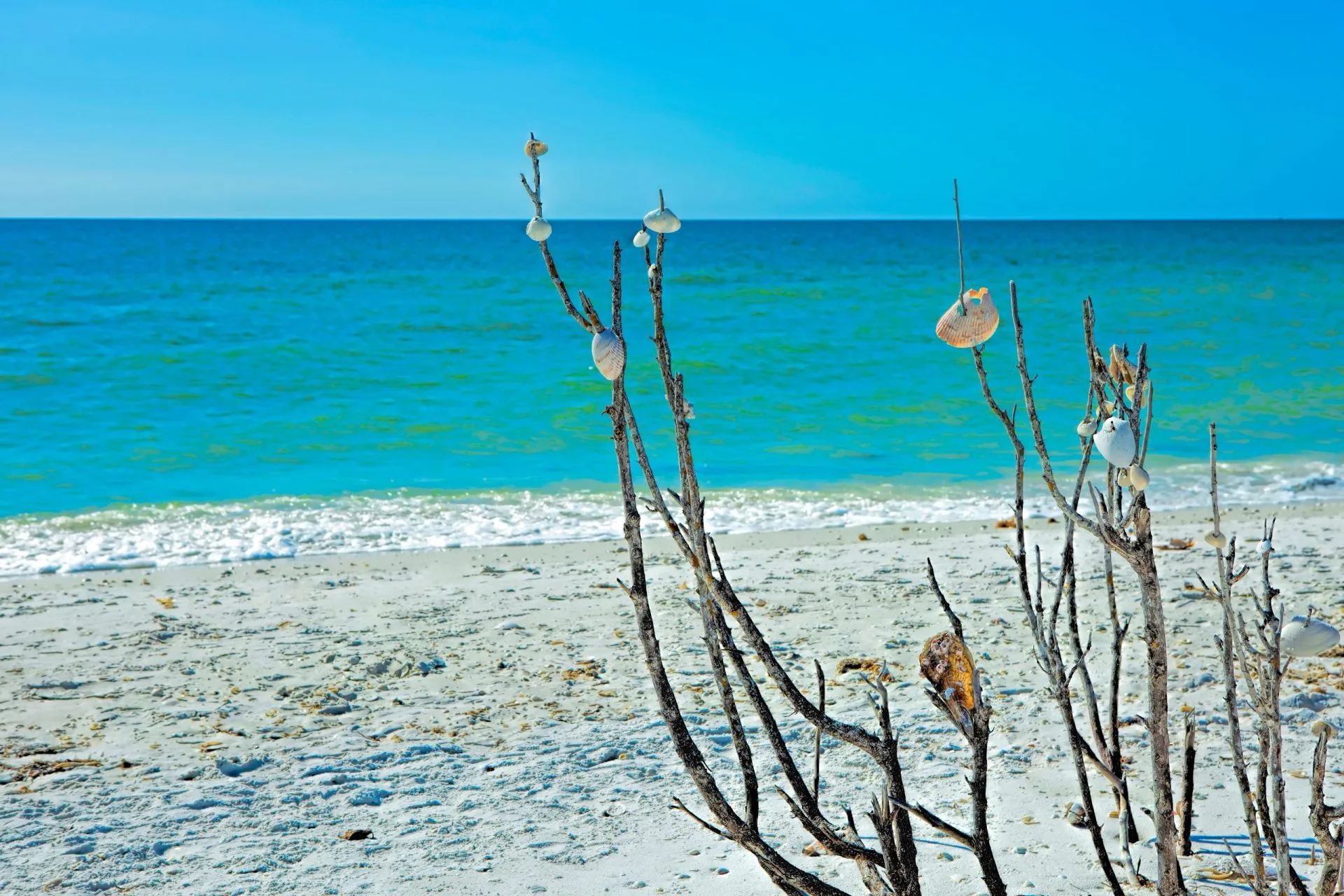 Marco island public beaches Tigertail beach