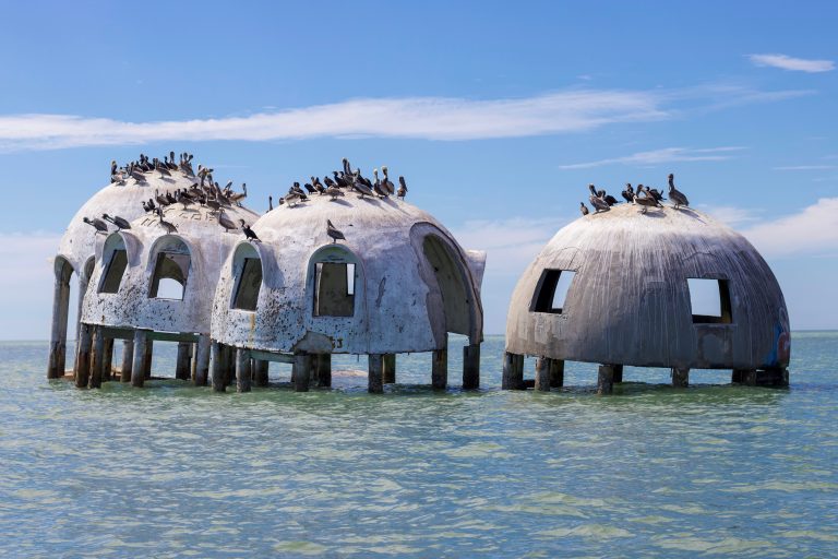 things to do in Marco Island domes