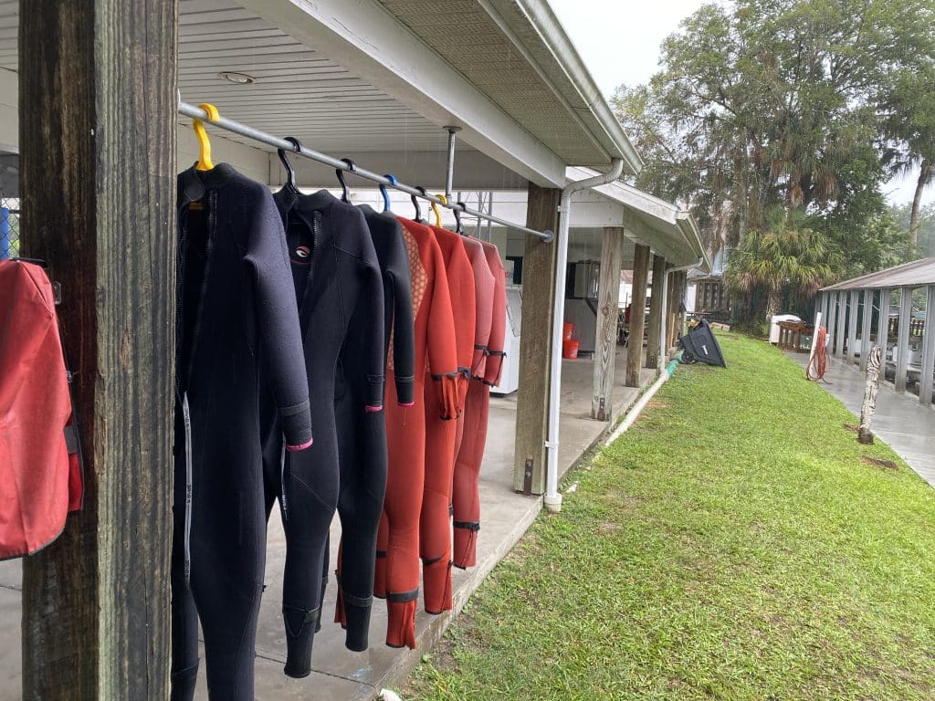 what to bring to manatee snorkel tour