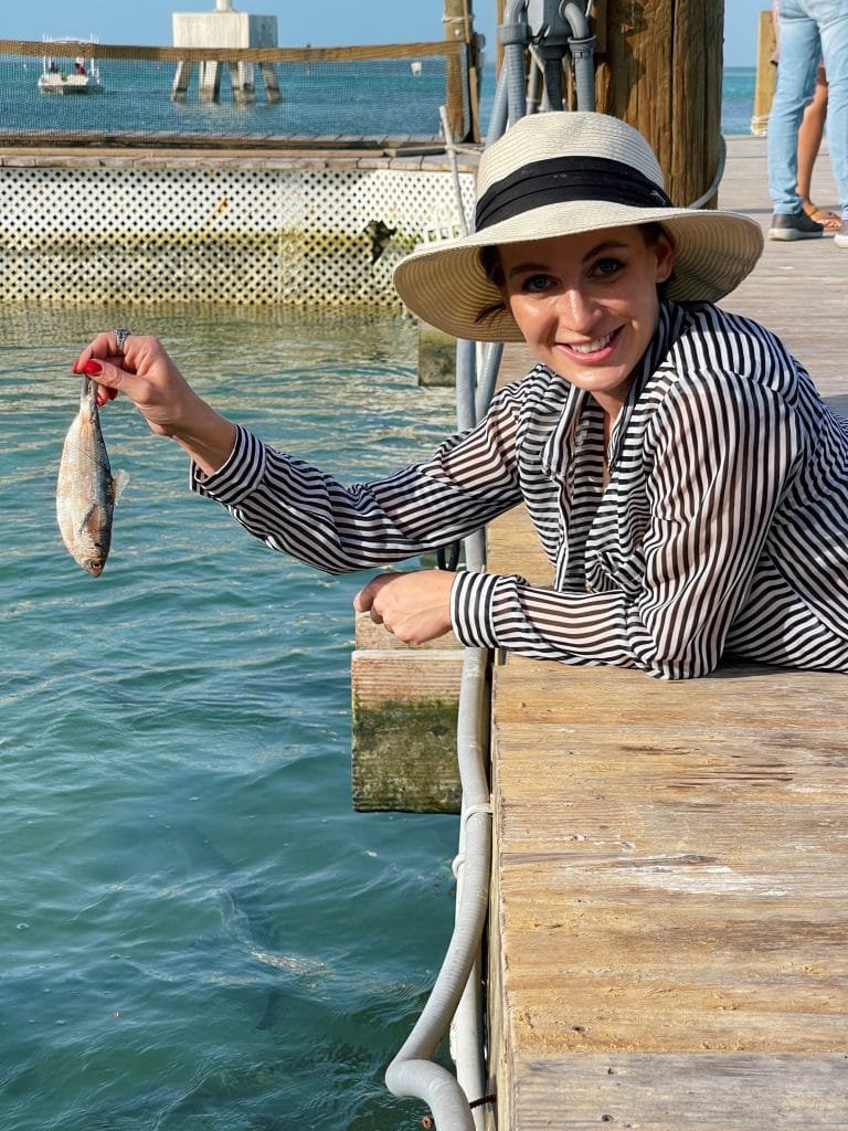 Florida Keys Robbies marina feeding tarpoons