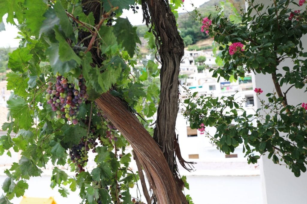 White Villages Andalucia