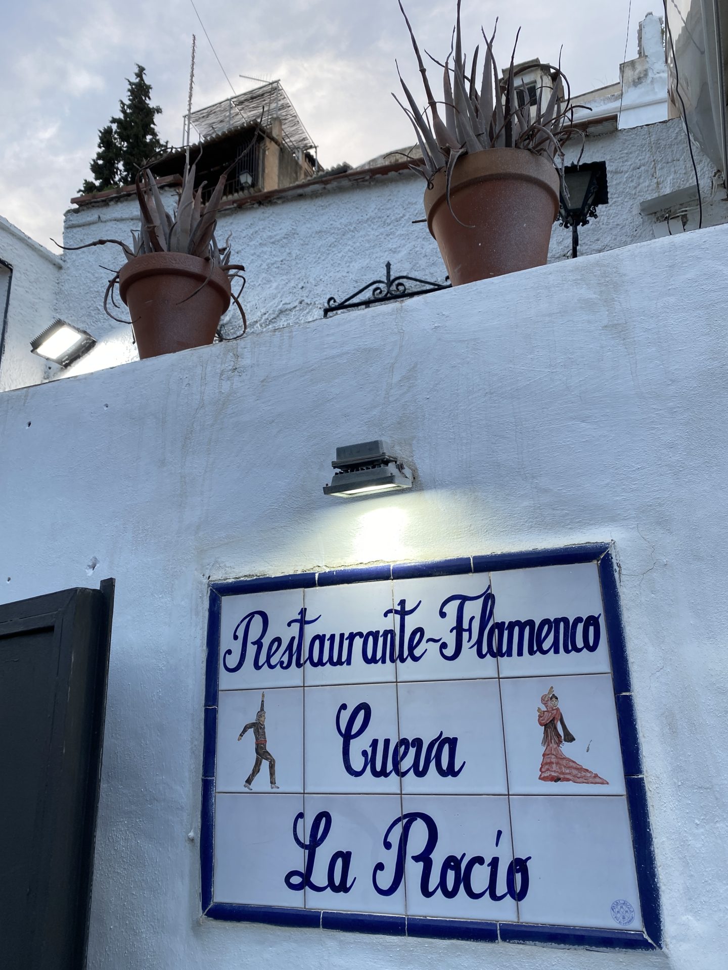 Granada Soscomonte caves flamenco show