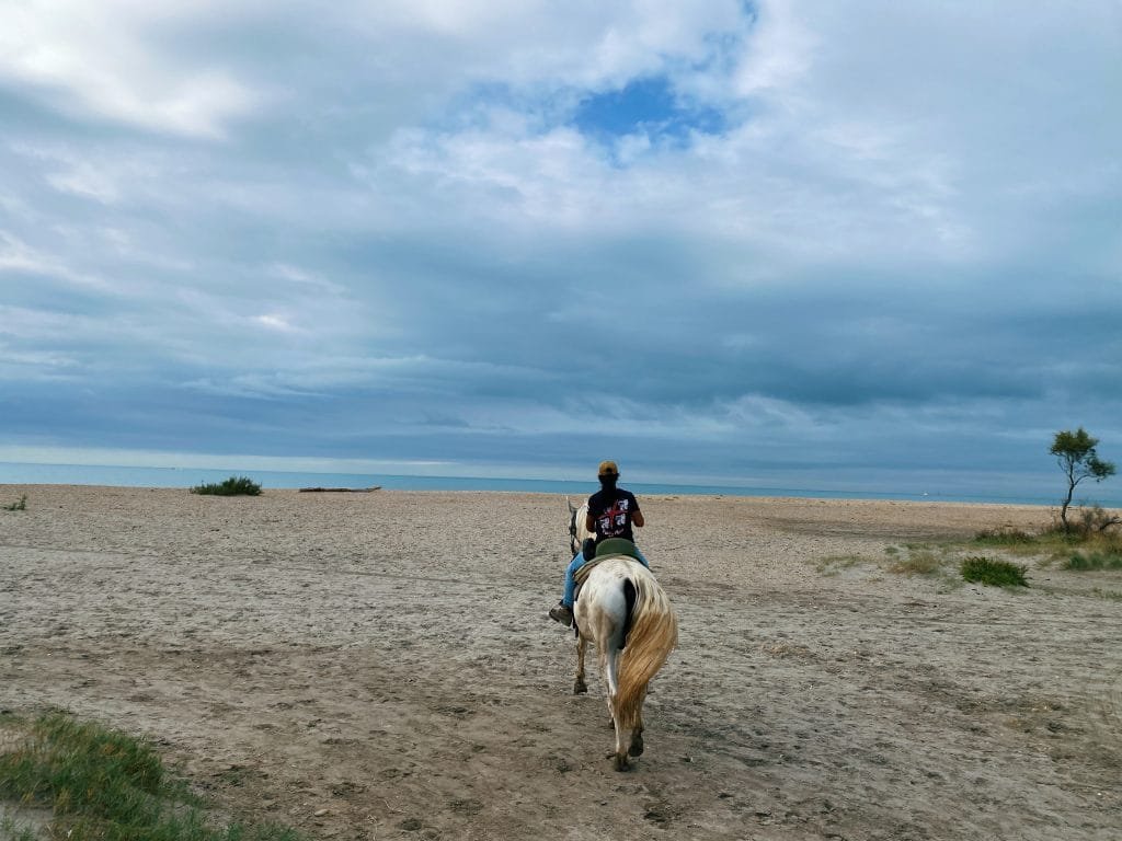 Camargue horseback riding blog 