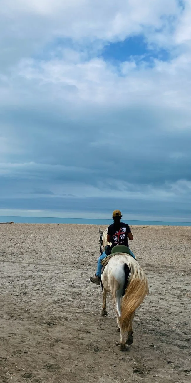 Camargue horseback riding blog
