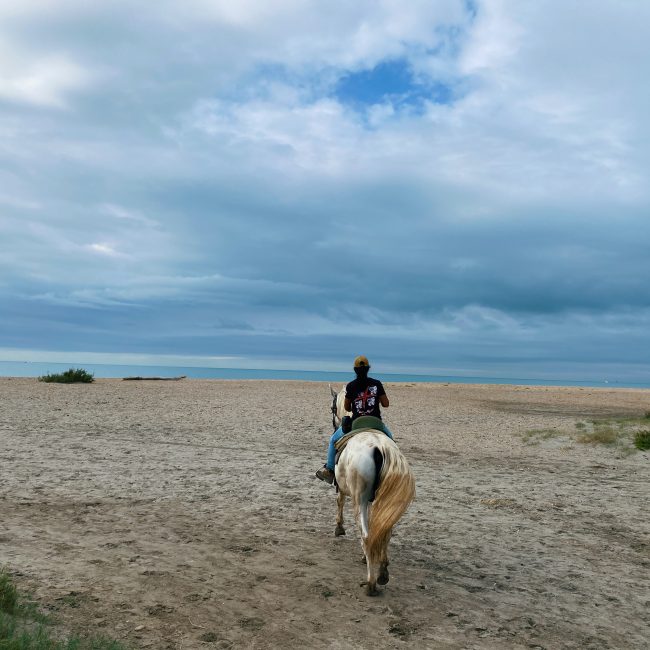 Camargue horseback riding blog