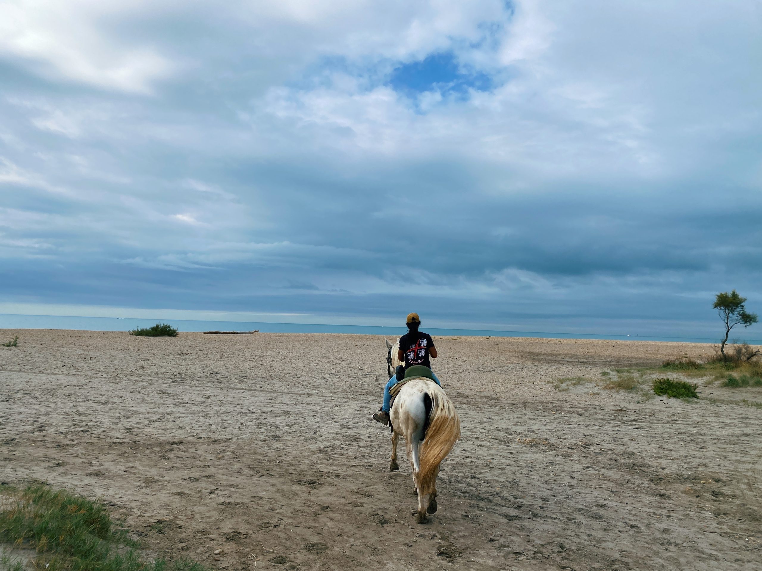 Camargue horseback riding blog