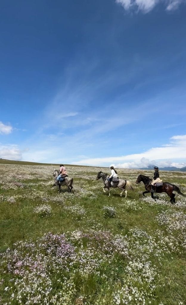 Ecuador horseback riding trip Andes