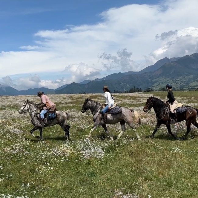 Ecuador Andese horseback ride
