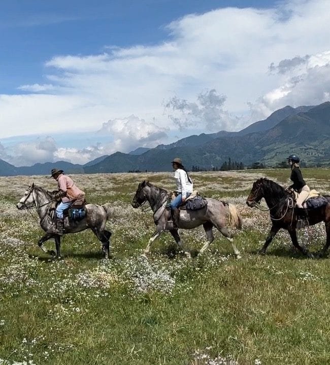 Ecuador Andese horseback ride
