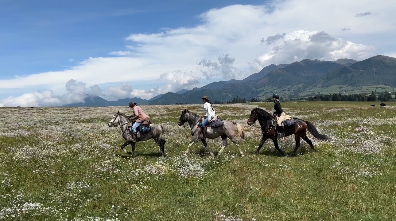Ecuador Andese horseback ride