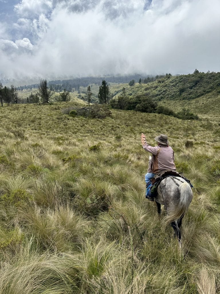 Ecuador Andese horseback ride