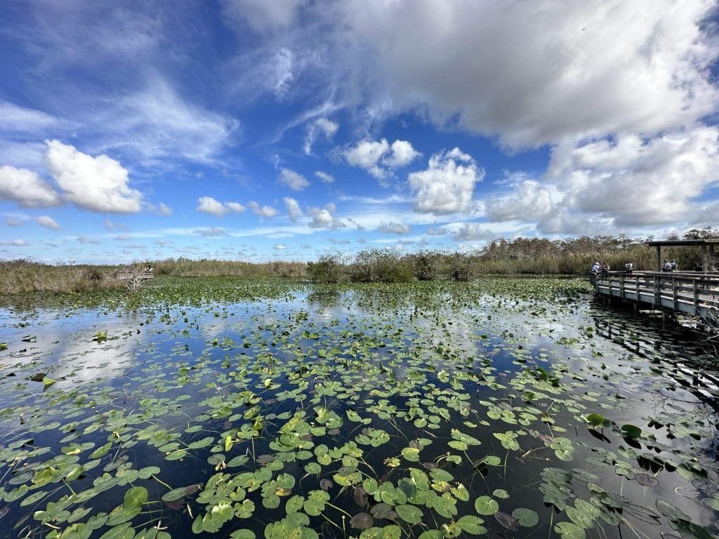 Everglades National Park Travel Guide Florida