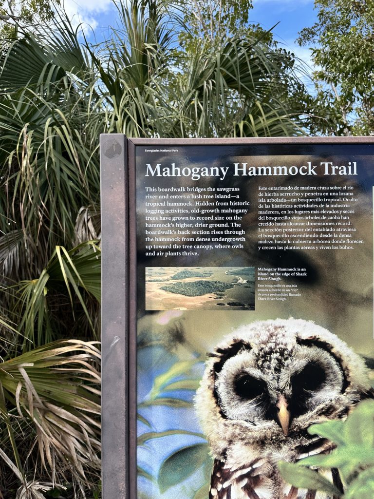 Everglades National Park Mahogany Hammock Trail