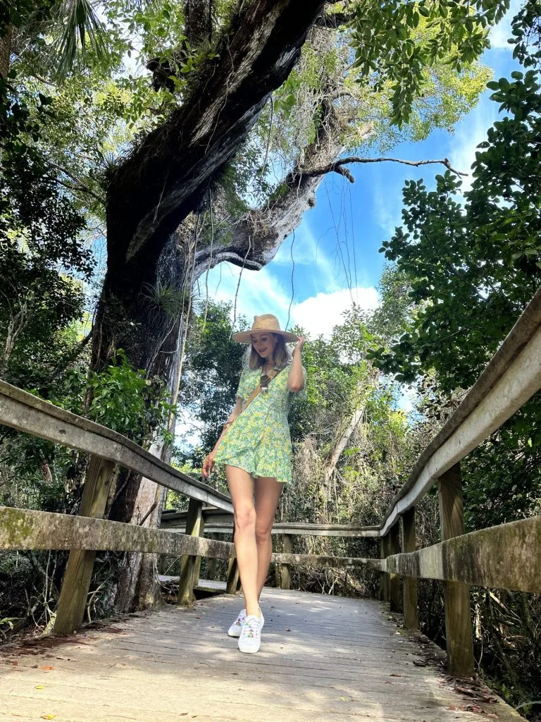 Everglades National Park Travel Guide Florida