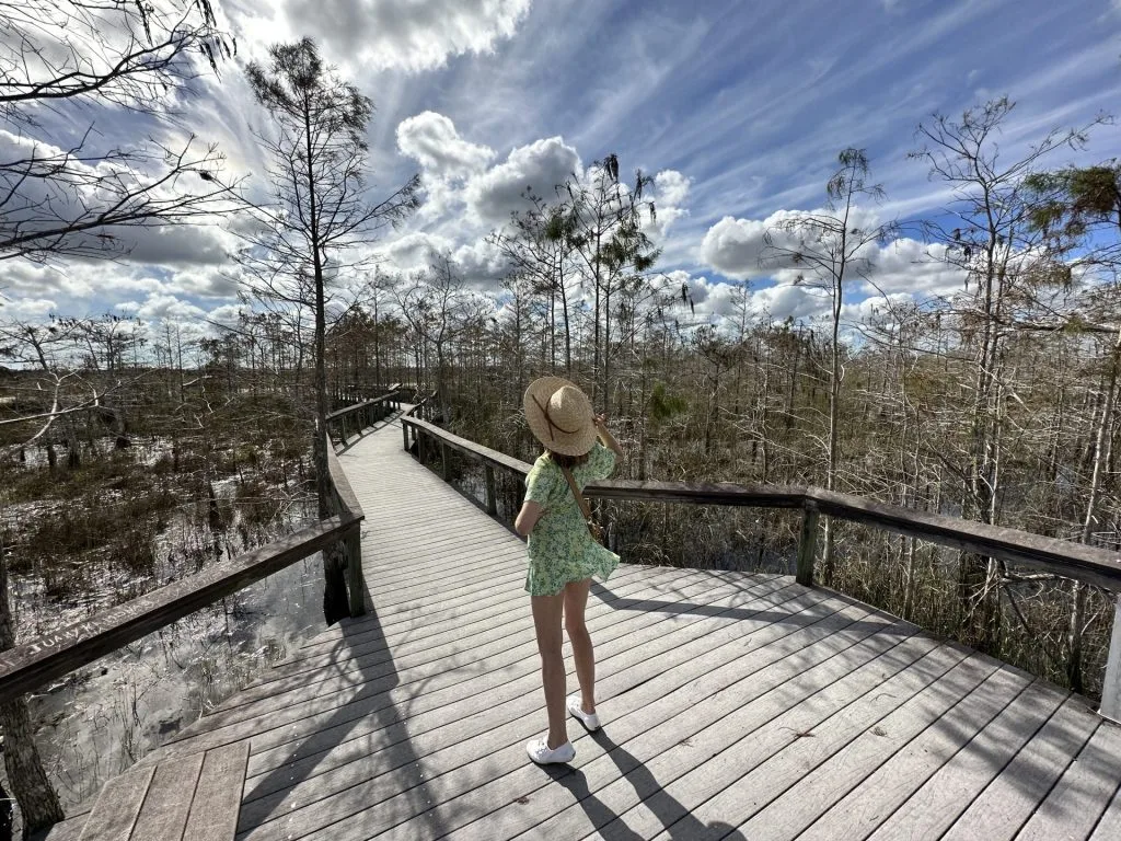 Everglades National Park Travel Guide