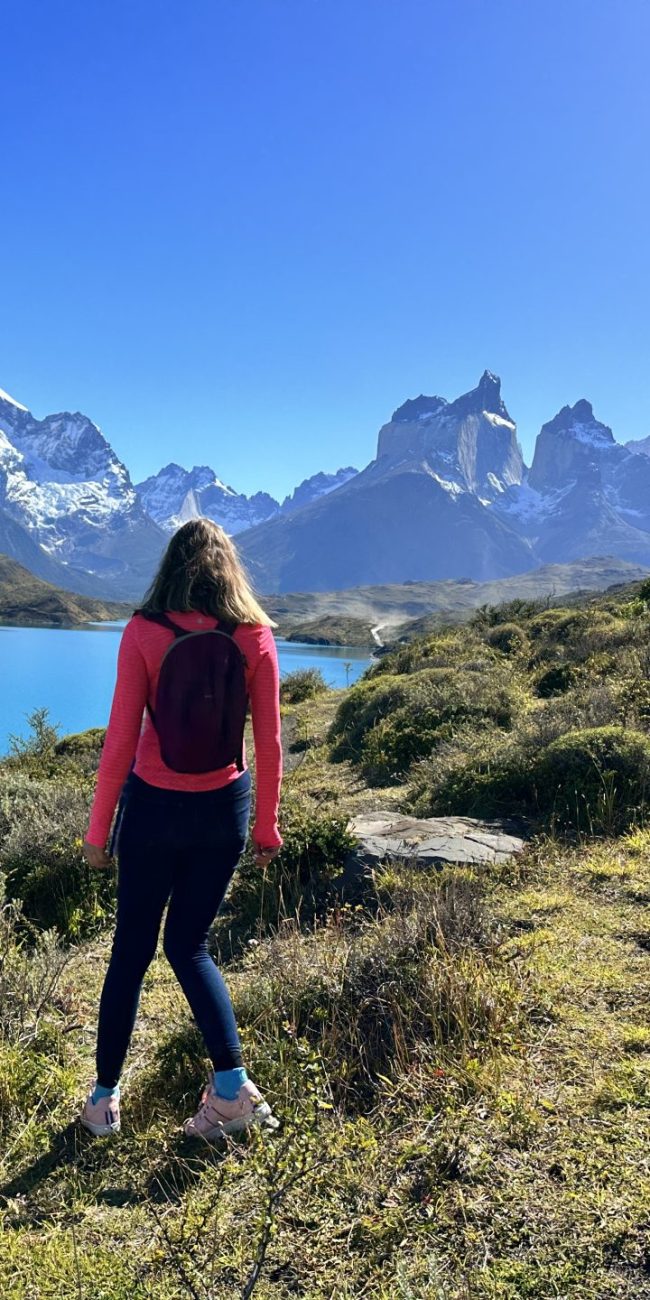 Patagonia: Torres del Paine park in one day