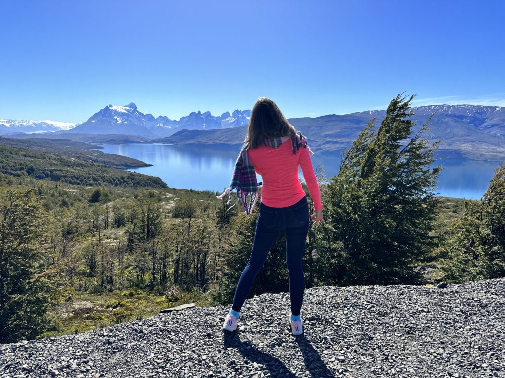 Patagonia: Torres del Paine park in one day 