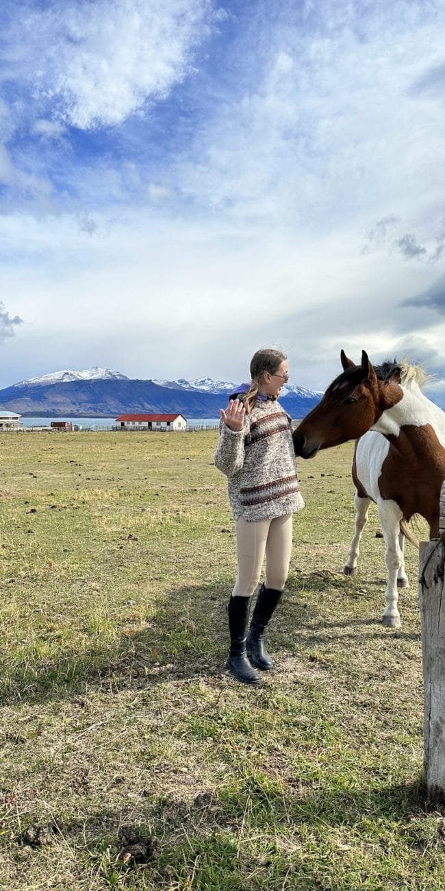Puerto Bories Things to do in Puerto Natales