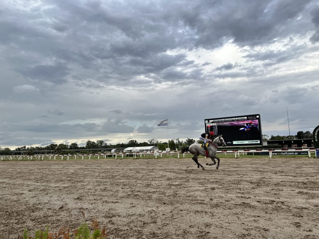 Horse Races: Buenos Aires Palermo Hippodrome
