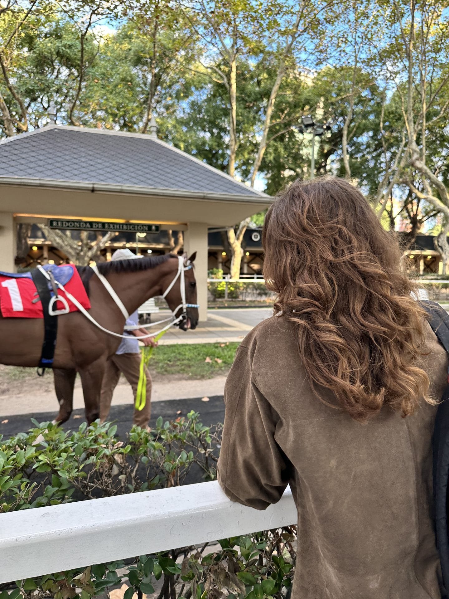 Horse Races: Buenos Aires Palermo Hippodrome