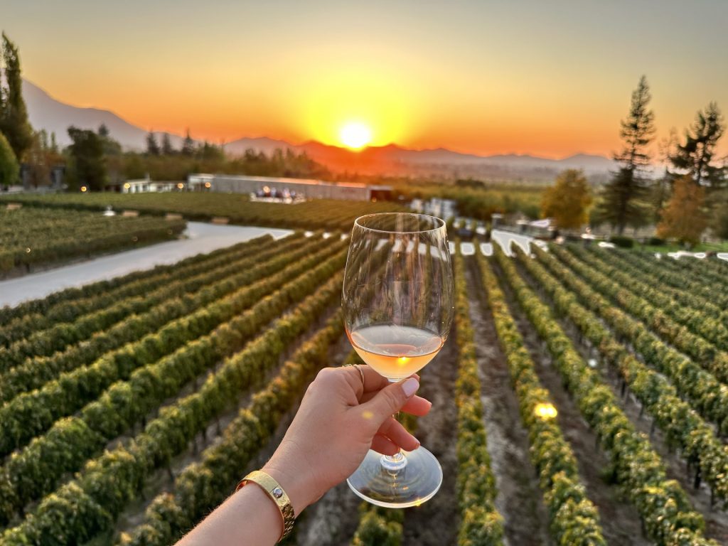 Chilean winery and sunset 