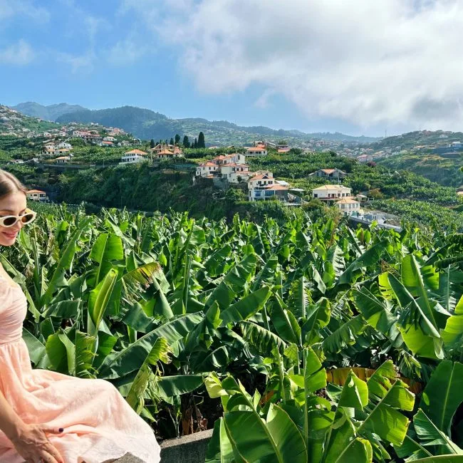 Banana Plantations Madeira
