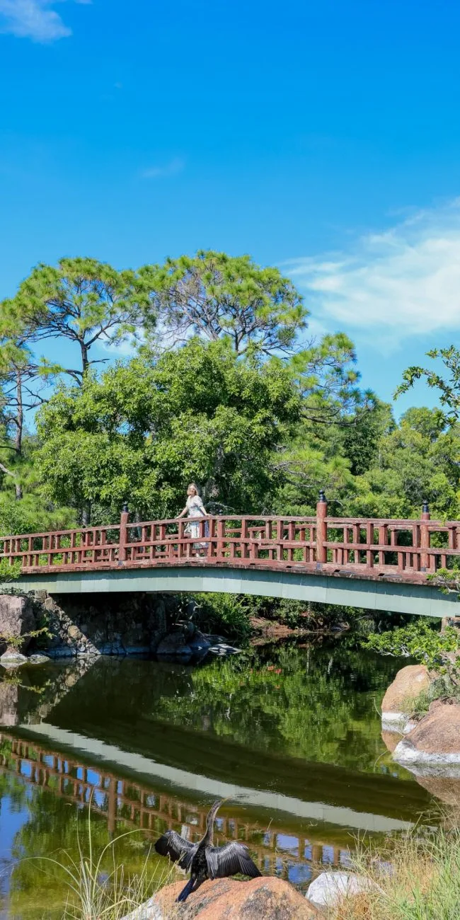 Explore Morikami Museum and Japanese Gardens