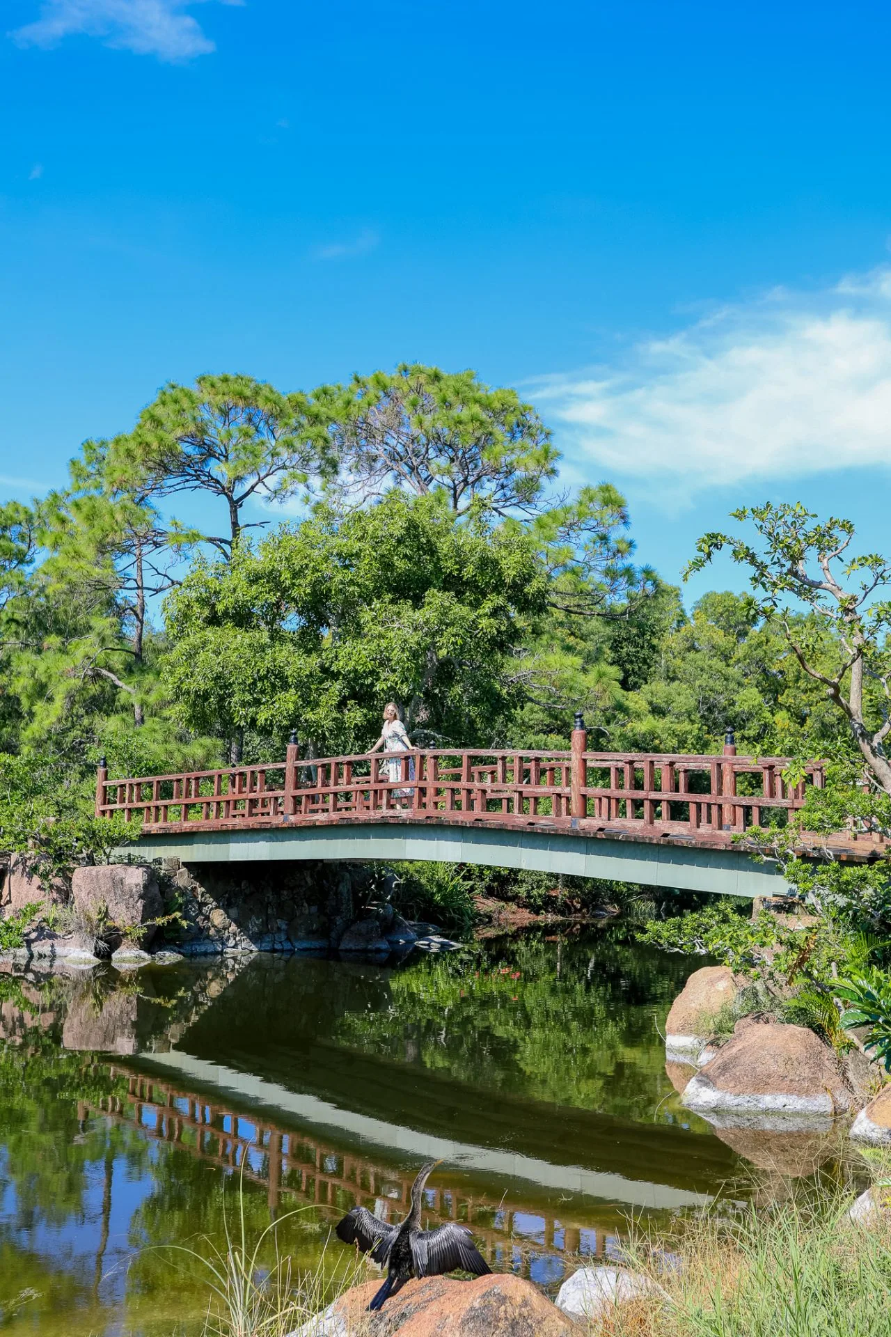 Explore Morikami Museum and Japanese Gardens