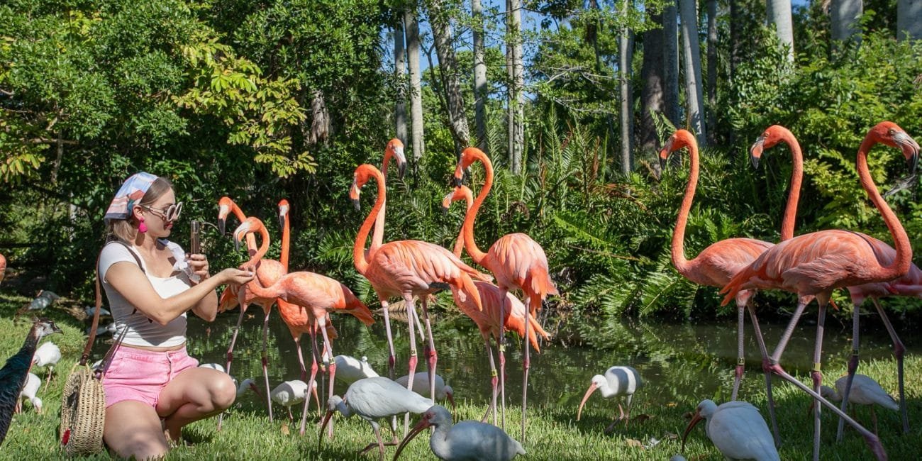 Best things to do in Sarasota Florida