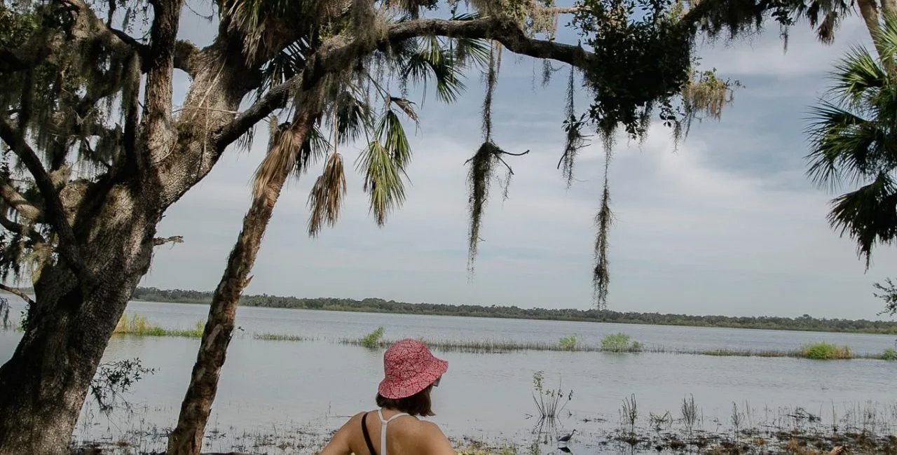 Myakka river state park travel