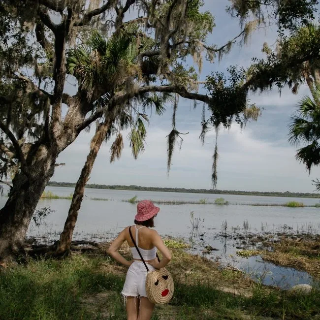 Myakka river state park travel