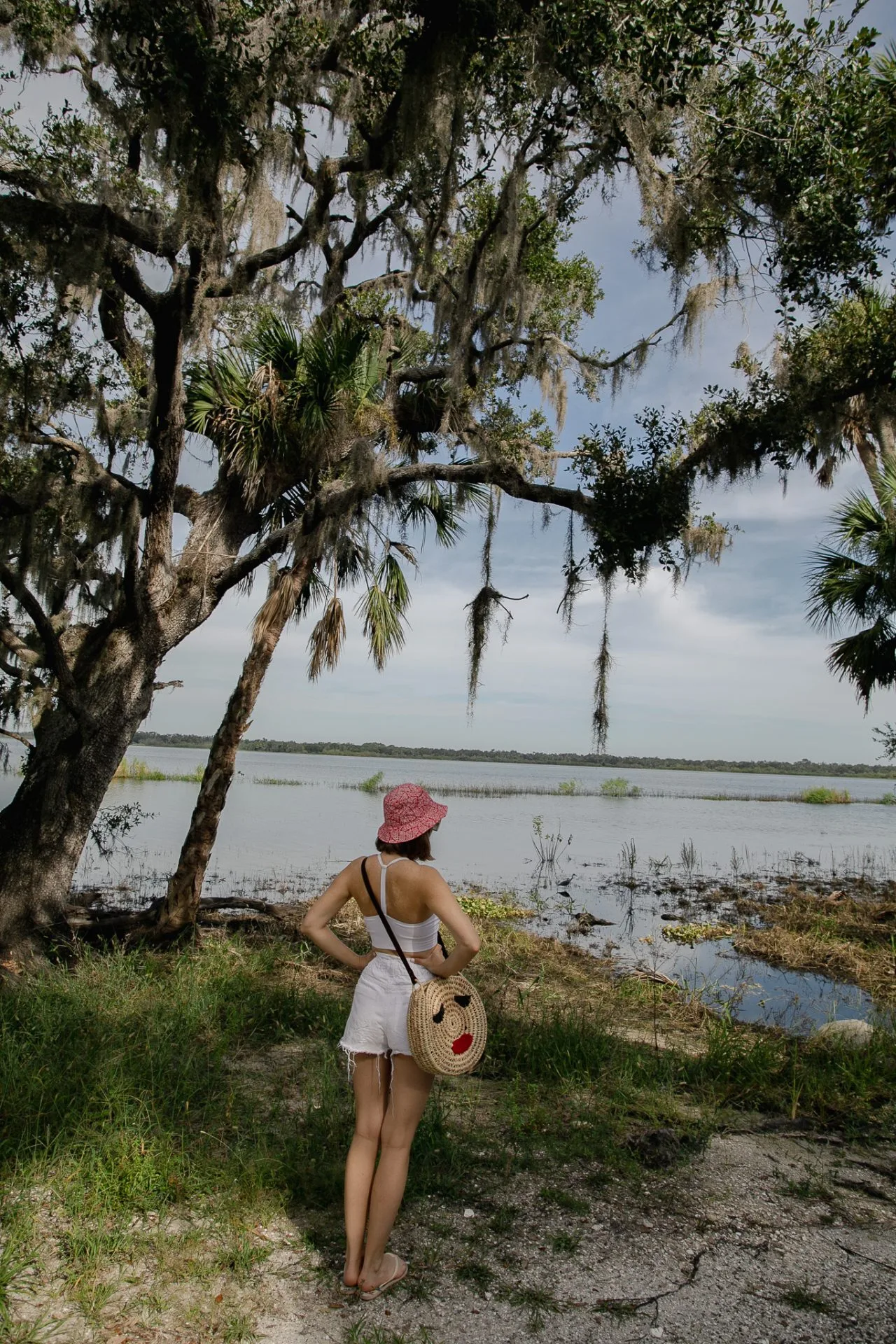 Myakka river state park travel