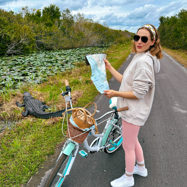 Shark Valley Everglades National Park on a bicycle