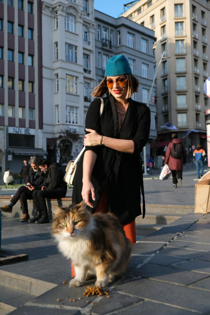Why Cats Are Everywhere in Istanbul