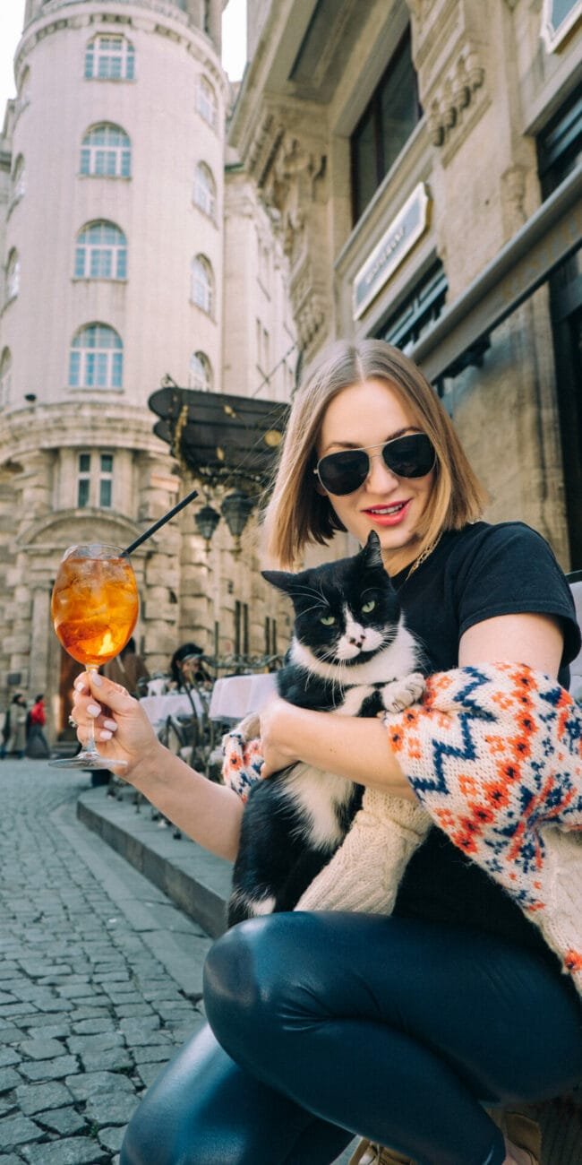 Why Cats Are Everywhere in Istanbul