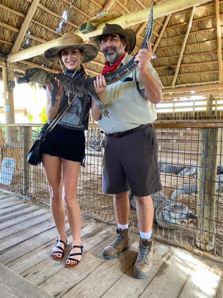 everglades national park gator shows 