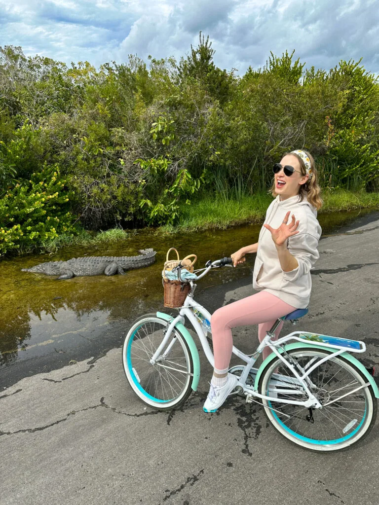 Shark Valley Everglades National Park on a bicycle alligator 