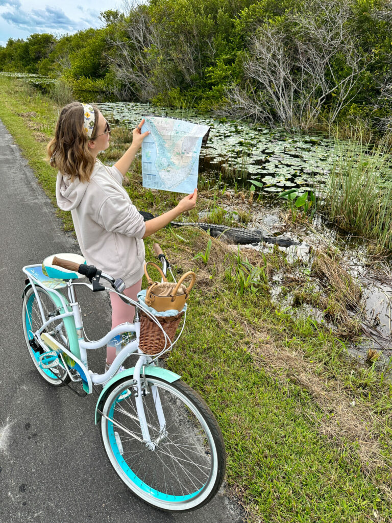 Shark Valley Everglades National Park on a bicycle